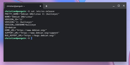 blog chrome debian11 4