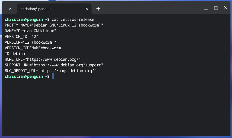 blog chrome debian12 3